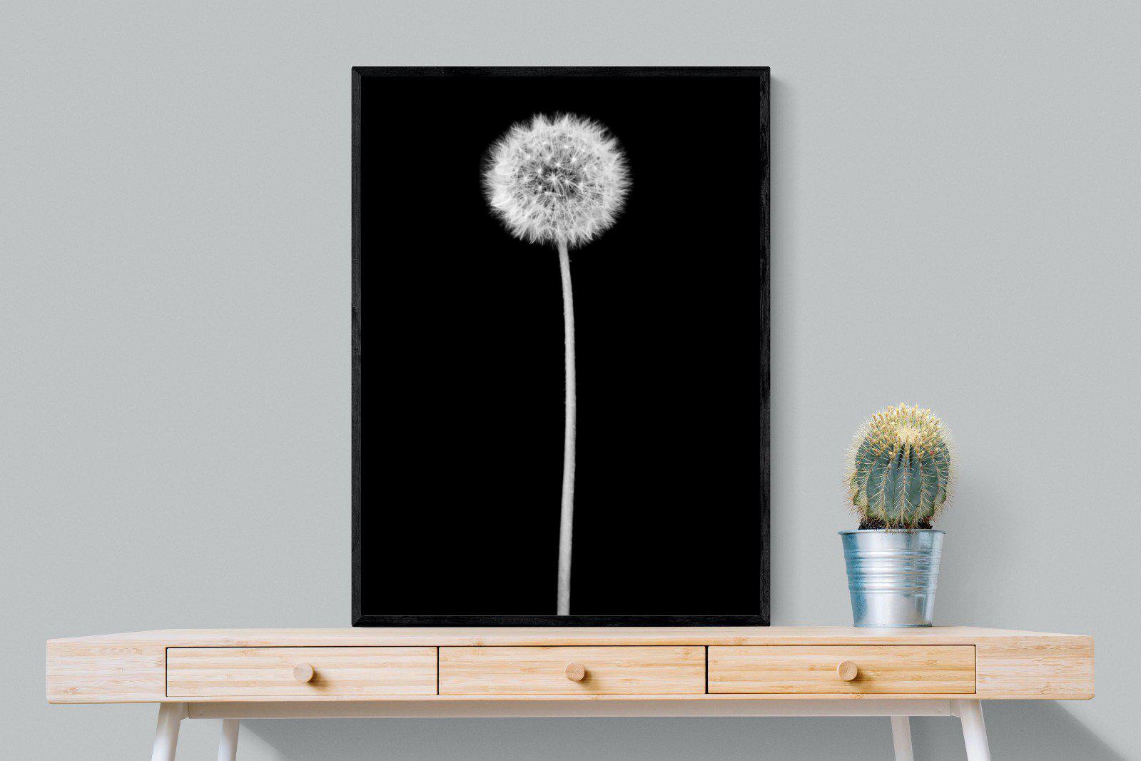 Dandelion Noir-Wall_Art-75 x 100cm-Mounted Canvas-Black-Pixalot