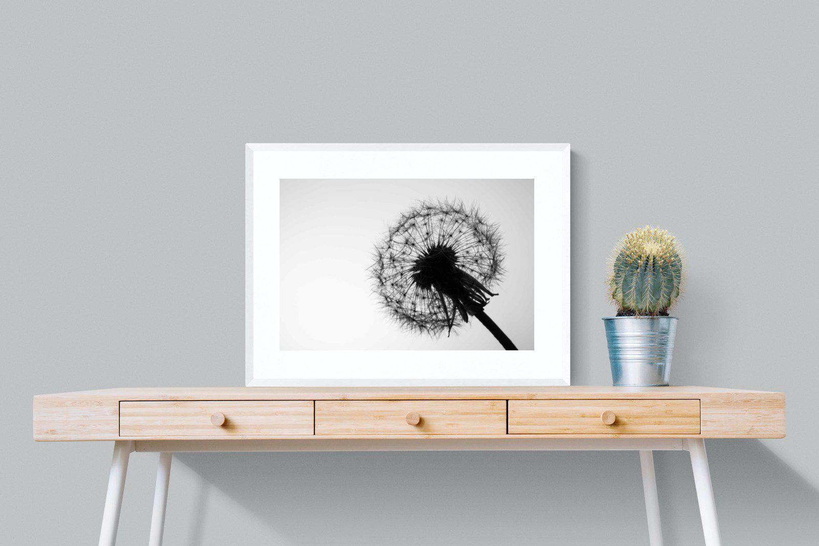 Dandelion-Wall_Art-80 x 60cm-Framed Print-White-Pixalot