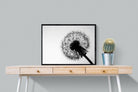 Dandelion-Wall_Art-80 x 60cm-Mounted Canvas-Black-Pixalot