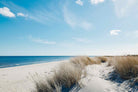 Danish Coastline-Wall_Art-Pixalot