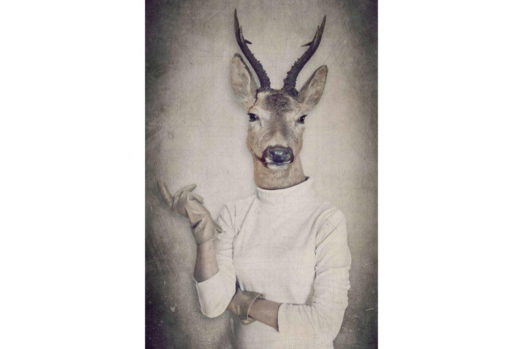 Deer Head-Wall_Art-Pixalot