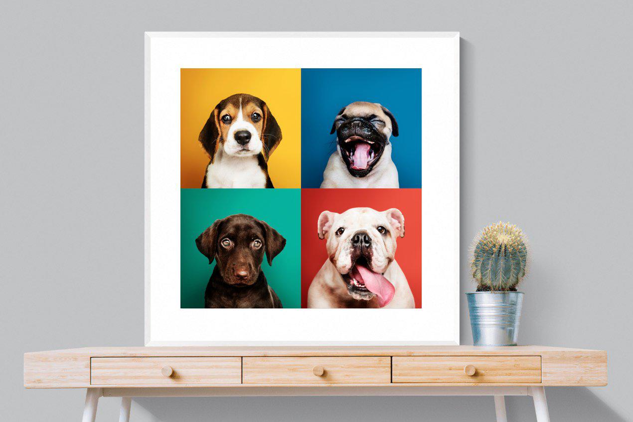 Dogs Being Dogs-Wall_Art-100 x 100cm-Framed Print-White-Pixalot