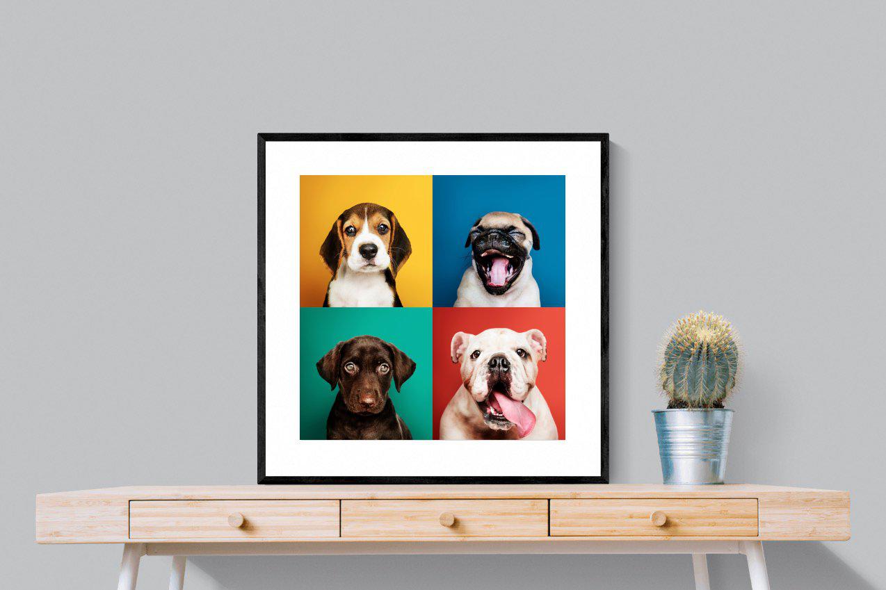Dogs Being Dogs-Wall_Art-80 x 80cm-Framed Print-Black-Pixalot