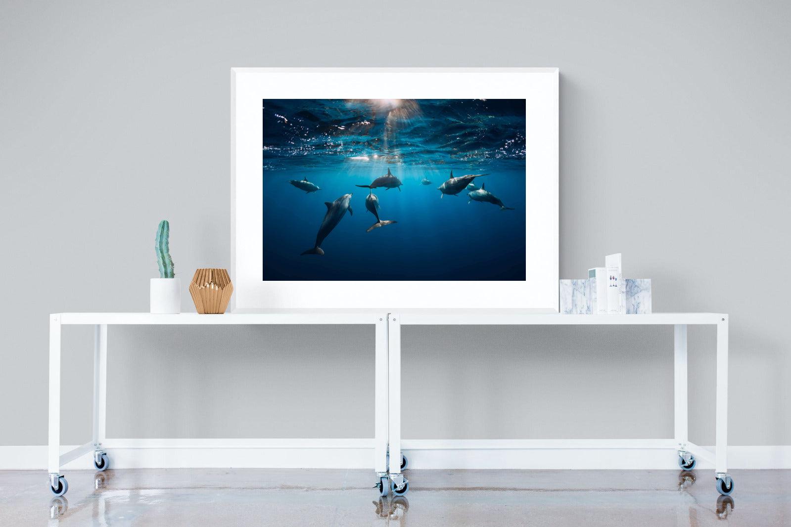 Dolphins-Wall_Art-120 x 90cm-Framed Print-White-Pixalot