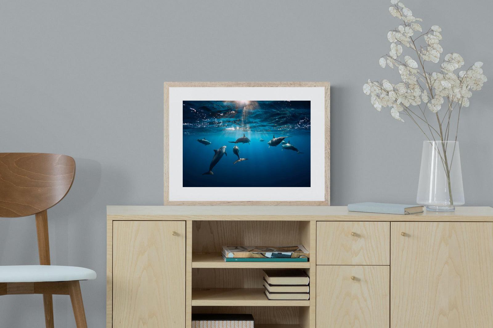 Dolphins-Wall_Art-60 x 45cm-Framed Print-Wood-Pixalot