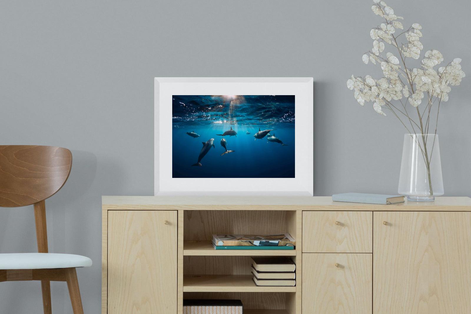 Dolphins-Wall_Art-60 x 45cm-Framed Print-White-Pixalot