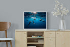 Dolphins-Wall_Art-60 x 45cm-Mounted Canvas-White-Pixalot