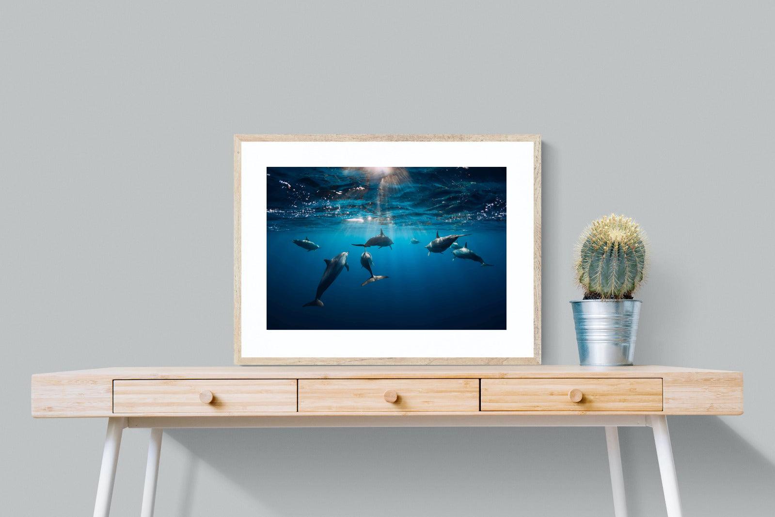 Dolphins-Wall_Art-80 x 60cm-Framed Print-Wood-Pixalot