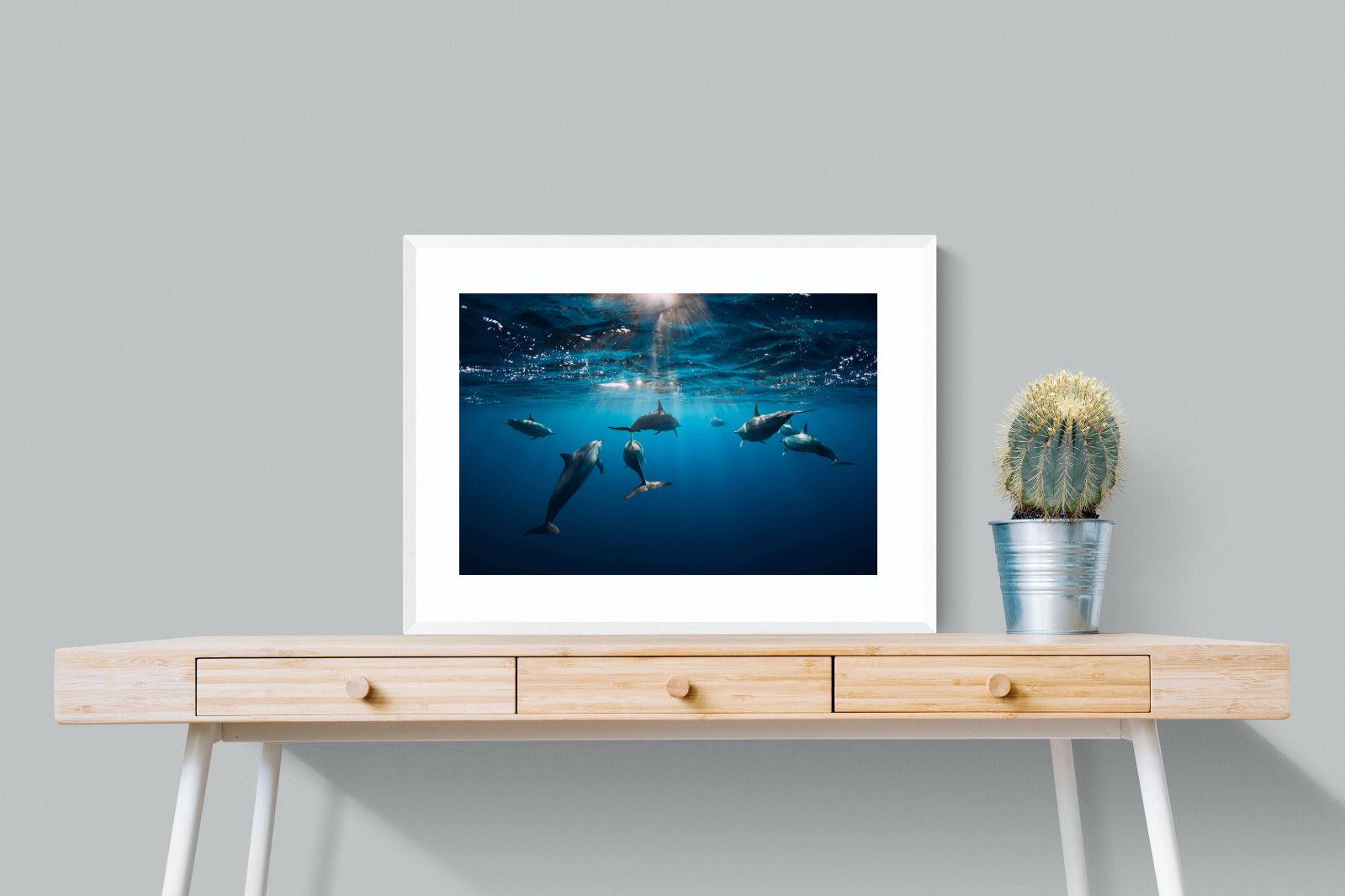 Dolphins-Wall_Art-80 x 60cm-Framed Print-White-Pixalot