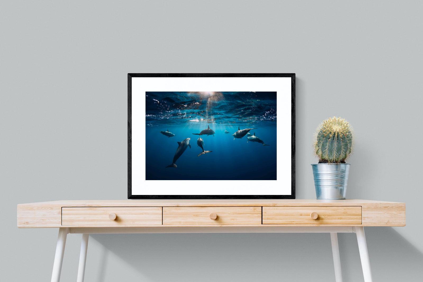 Dolphins-Wall_Art-80 x 60cm-Framed Print-Black-Pixalot