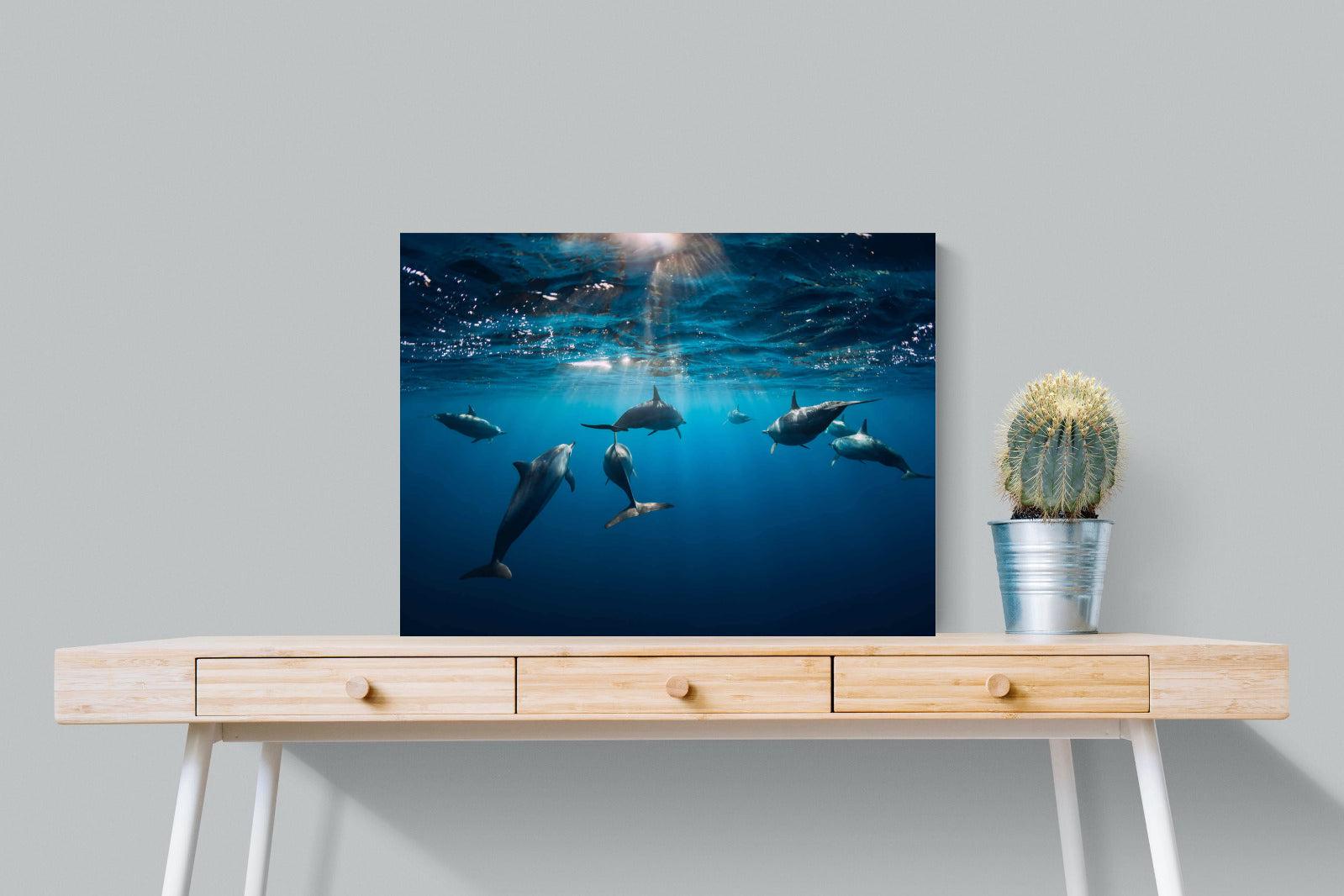 Dolphins-Wall_Art-80 x 60cm-Mounted Canvas-No Frame-Pixalot