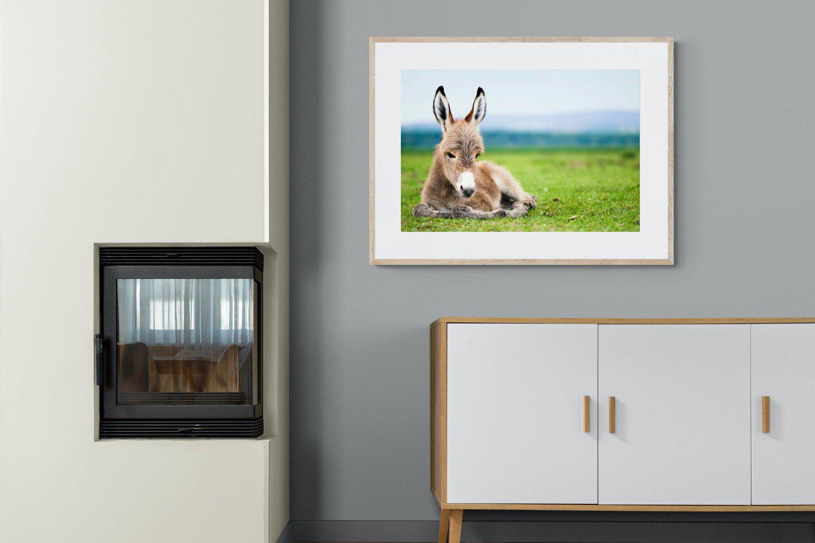 Donkey Foal-Wall_Art-100 x 75cm-Framed Print-Wood-Pixalot
