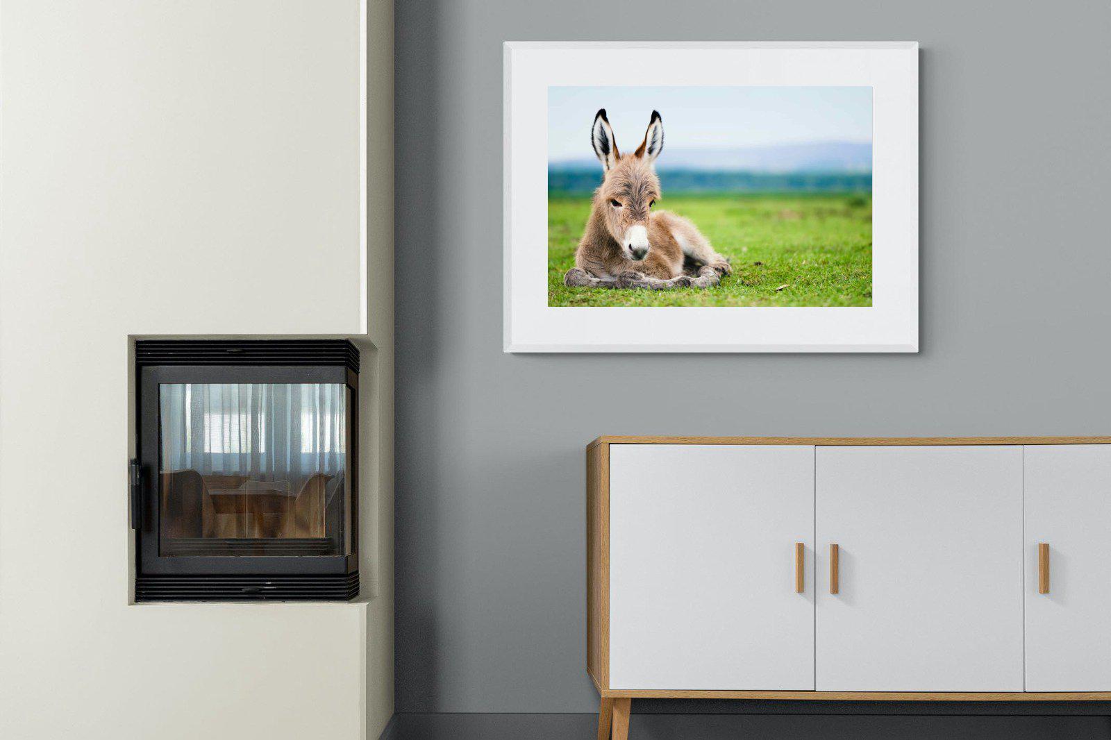 Donkey Foal-Wall_Art-100 x 75cm-Framed Print-White-Pixalot