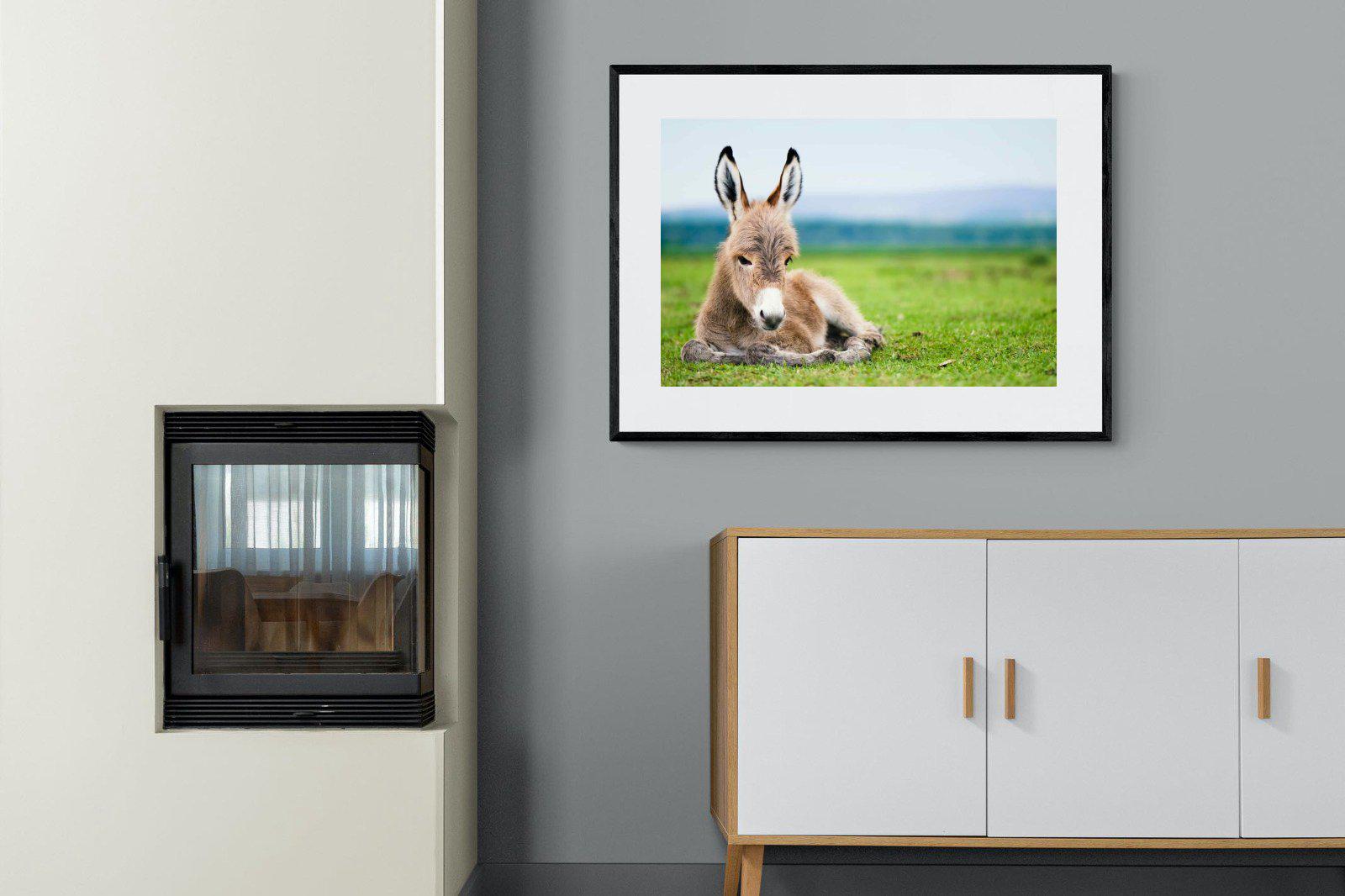 Donkey Foal-Wall_Art-100 x 75cm-Framed Print-Black-Pixalot