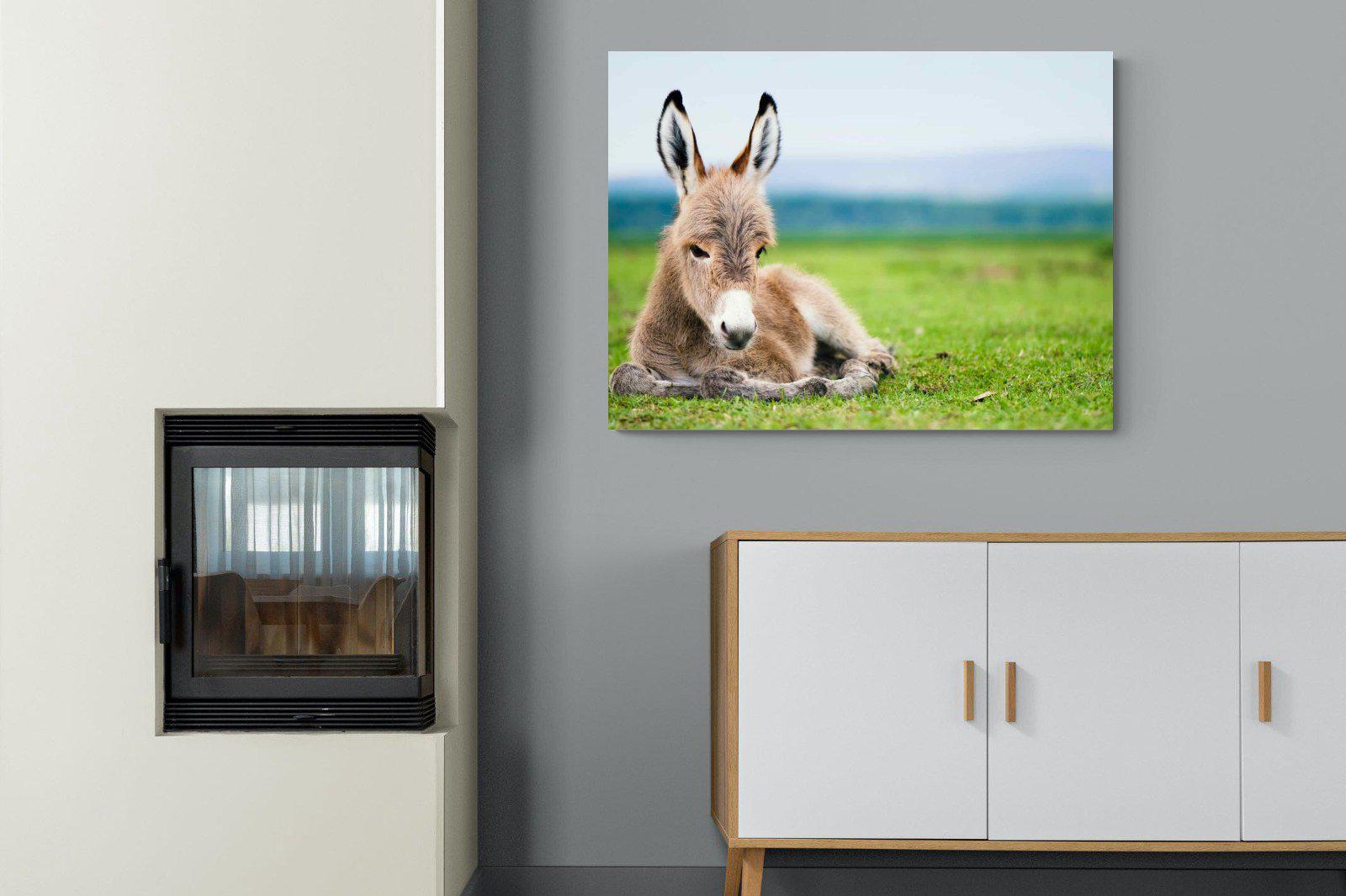 Donkey Foal-Wall_Art-100 x 75cm-Mounted Canvas-No Frame-Pixalot