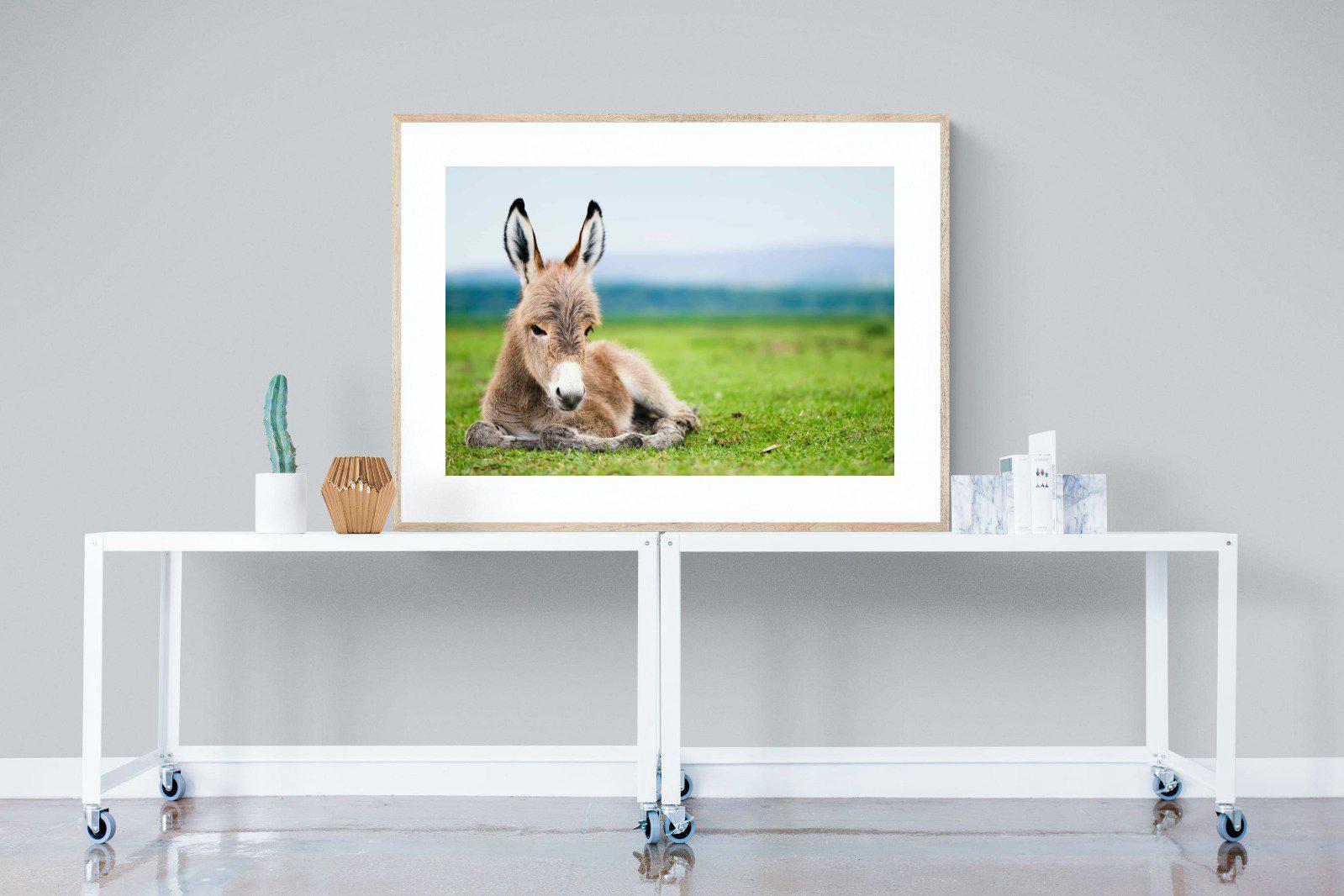 Donkey Foal-Wall_Art-120 x 90cm-Framed Print-Wood-Pixalot
