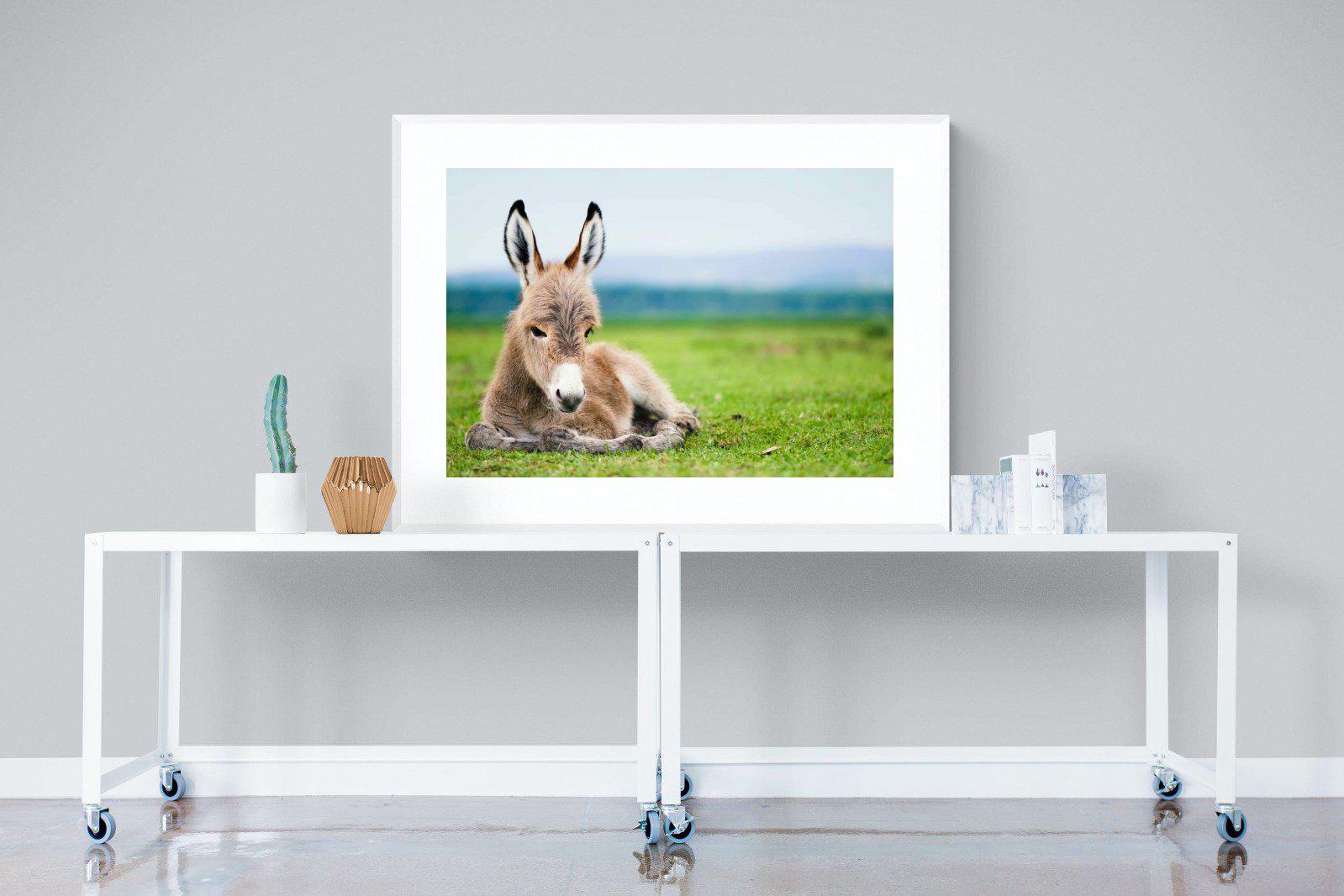 Donkey Foal-Wall_Art-120 x 90cm-Framed Print-White-Pixalot