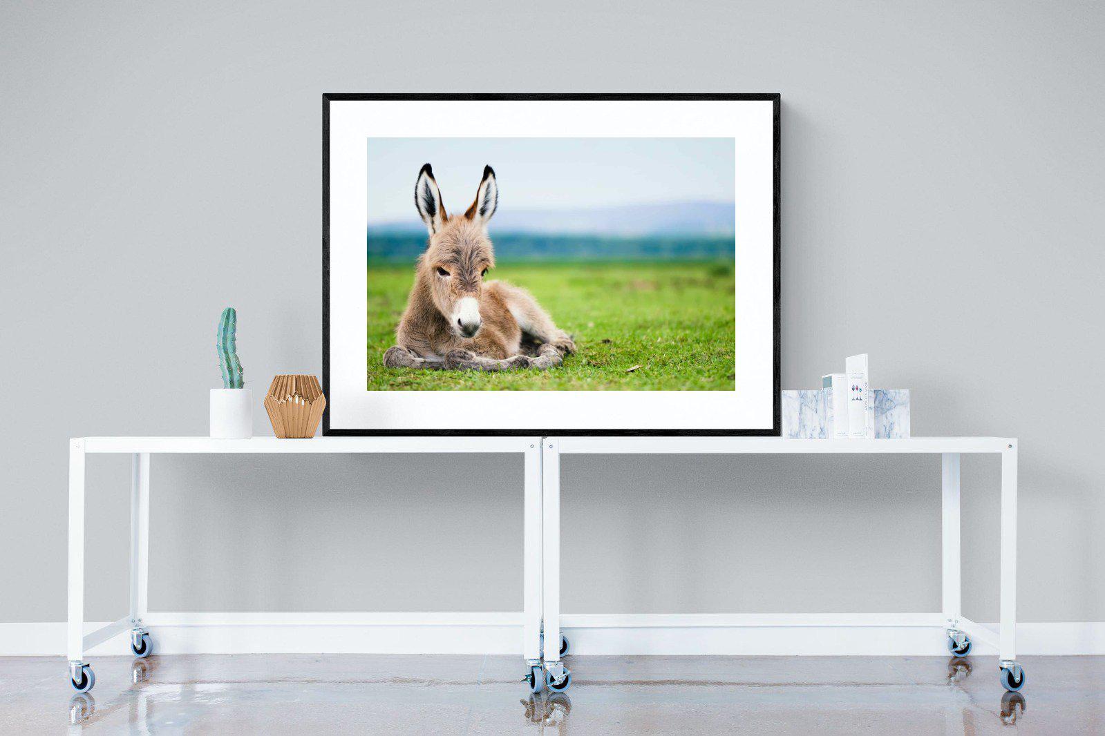 Donkey Foal-Wall_Art-120 x 90cm-Framed Print-Black-Pixalot