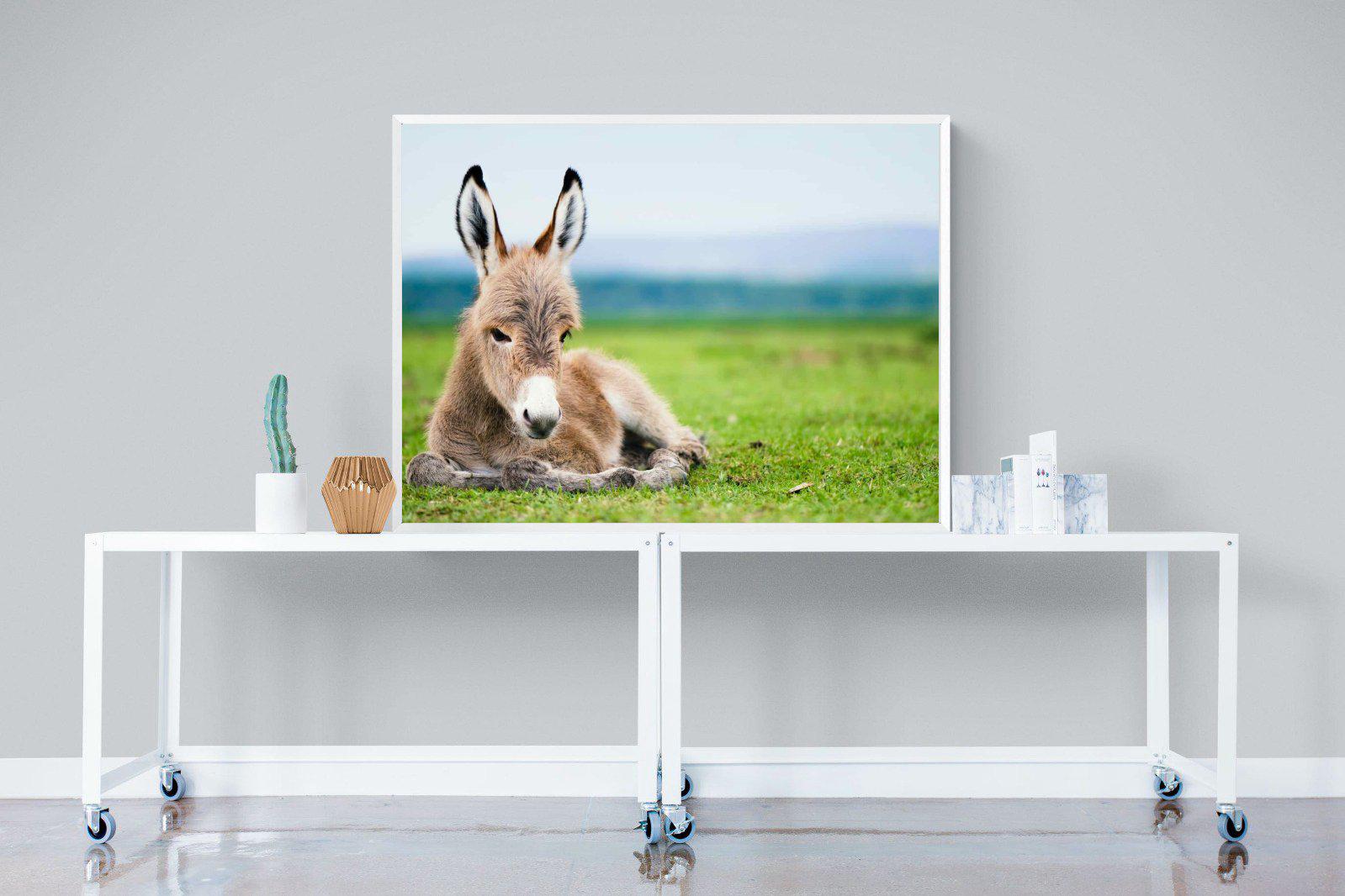 Donkey Foal-Wall_Art-120 x 90cm-Mounted Canvas-White-Pixalot