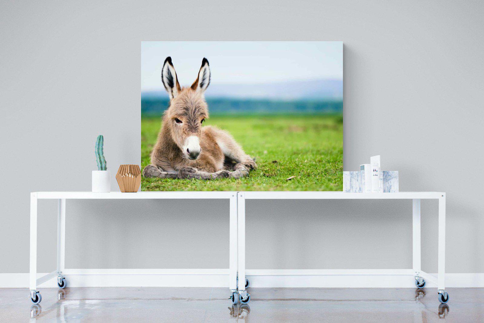 Donkey Foal-Wall_Art-120 x 90cm-Mounted Canvas-No Frame-Pixalot