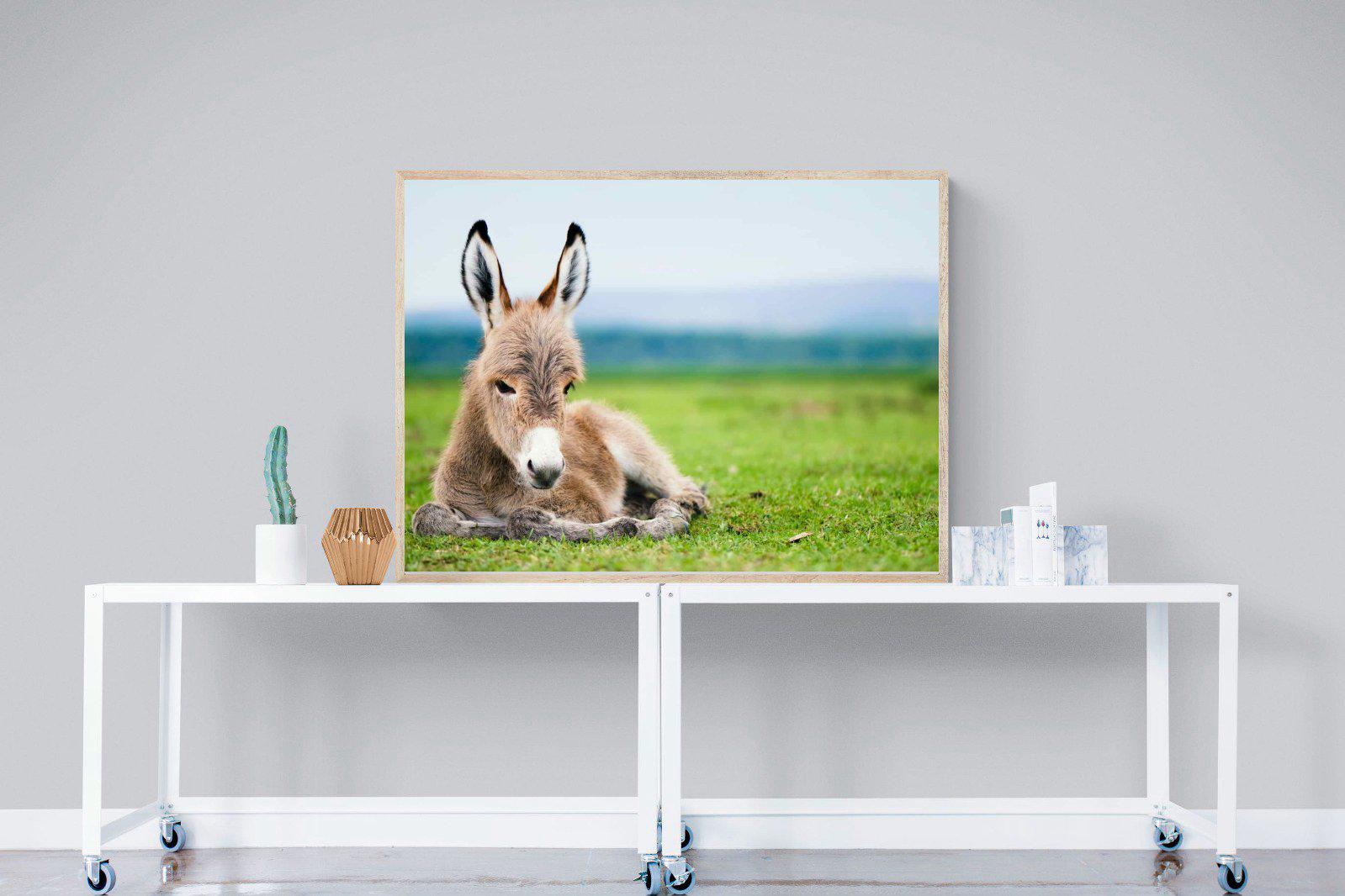 Donkey Foal-Wall_Art-120 x 90cm-Mounted Canvas-Wood-Pixalot