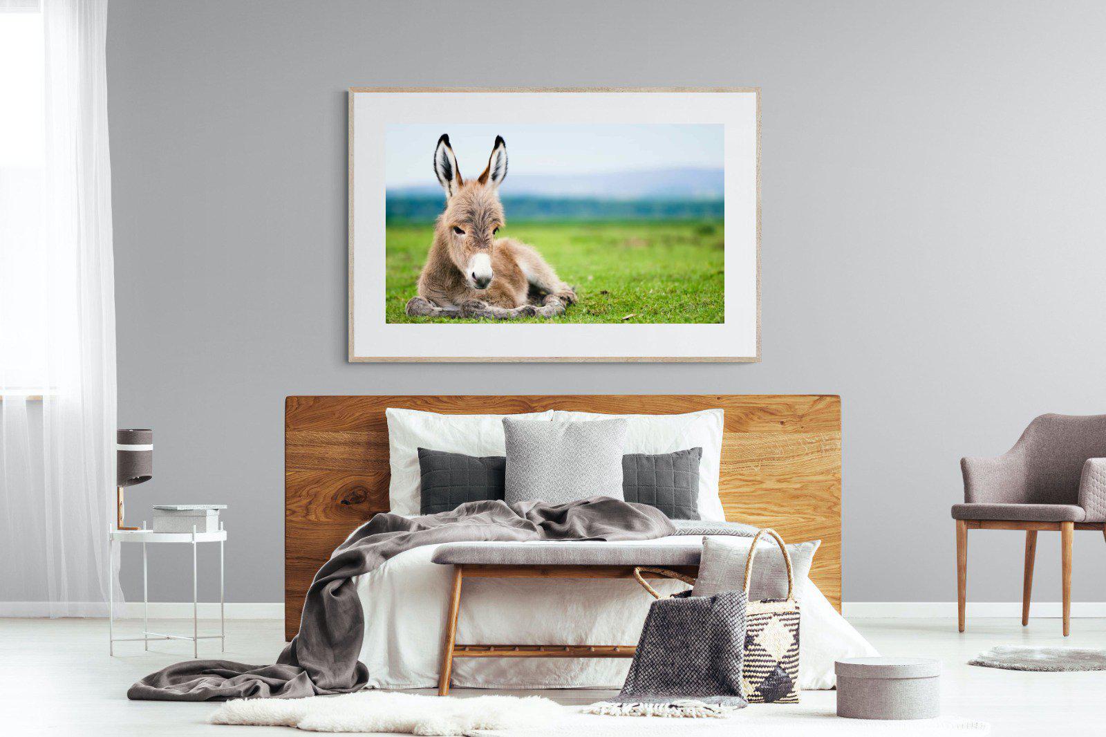 Donkey Foal-Wall_Art-150 x 100cm-Framed Print-Wood-Pixalot