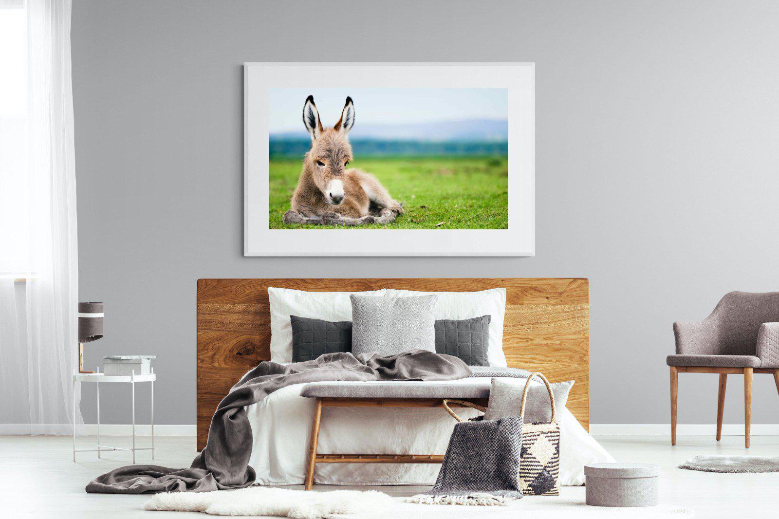 Donkey Foal-Wall_Art-150 x 100cm-Framed Print-White-Pixalot