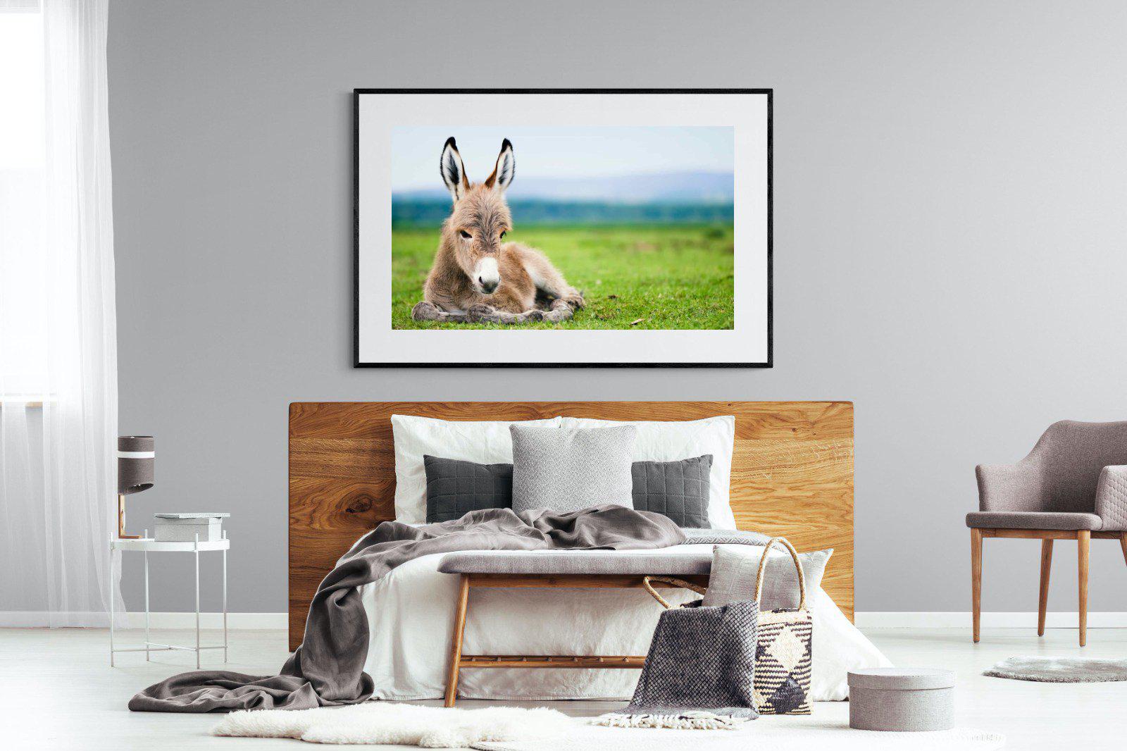 Donkey Foal-Wall_Art-150 x 100cm-Framed Print-Black-Pixalot