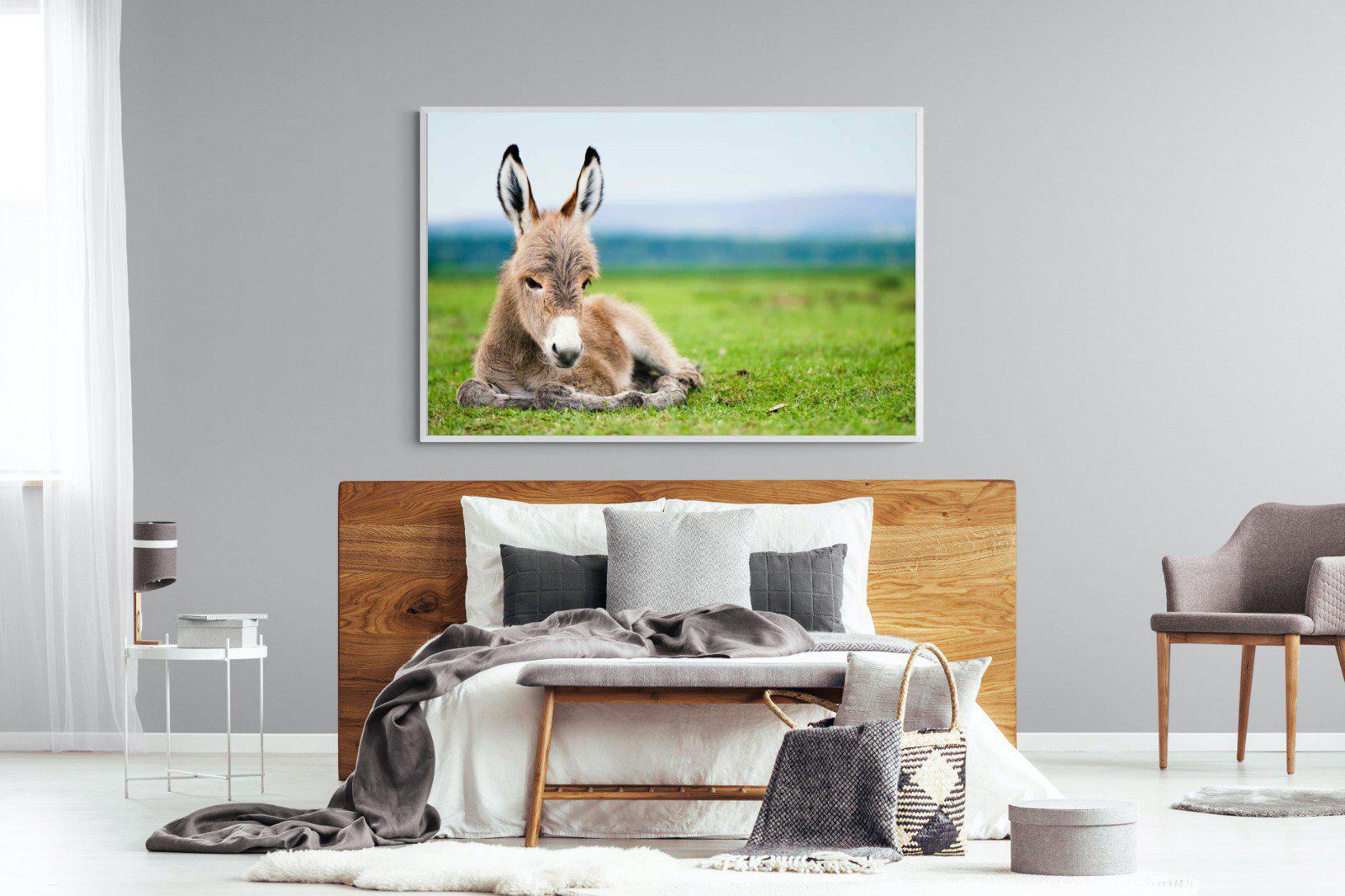 Donkey Foal-Wall_Art-150 x 100cm-Mounted Canvas-White-Pixalot