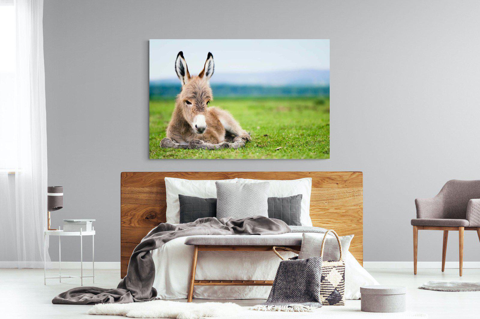 Donkey Foal-Wall_Art-150 x 100cm-Mounted Canvas-No Frame-Pixalot