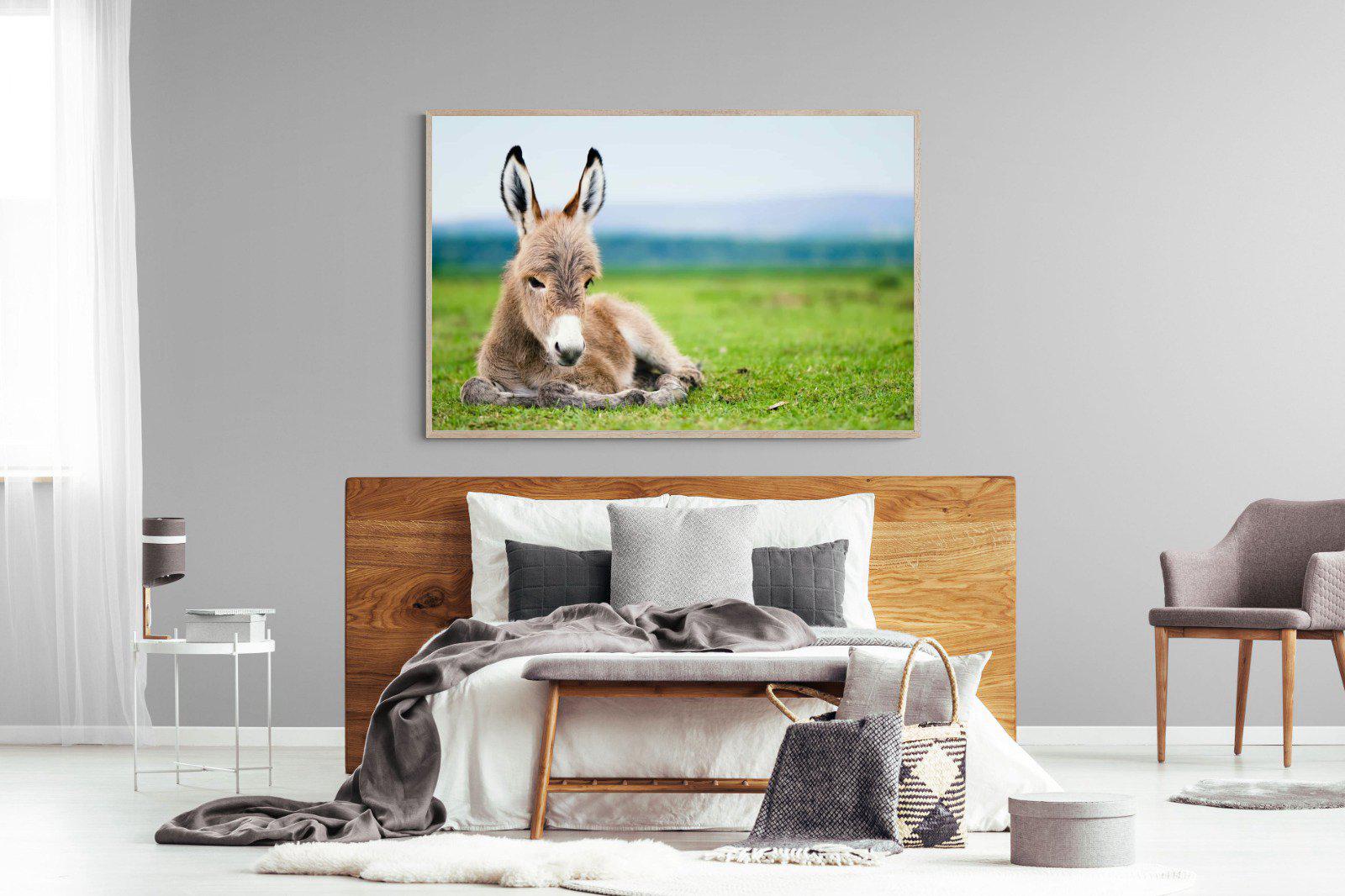 Donkey Foal-Wall_Art-150 x 100cm-Mounted Canvas-Wood-Pixalot