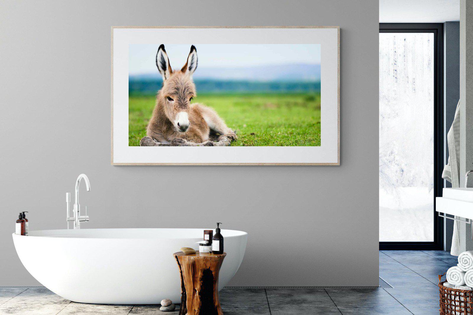 Donkey Foal-Wall_Art-180 x 110cm-Framed Print-Wood-Pixalot