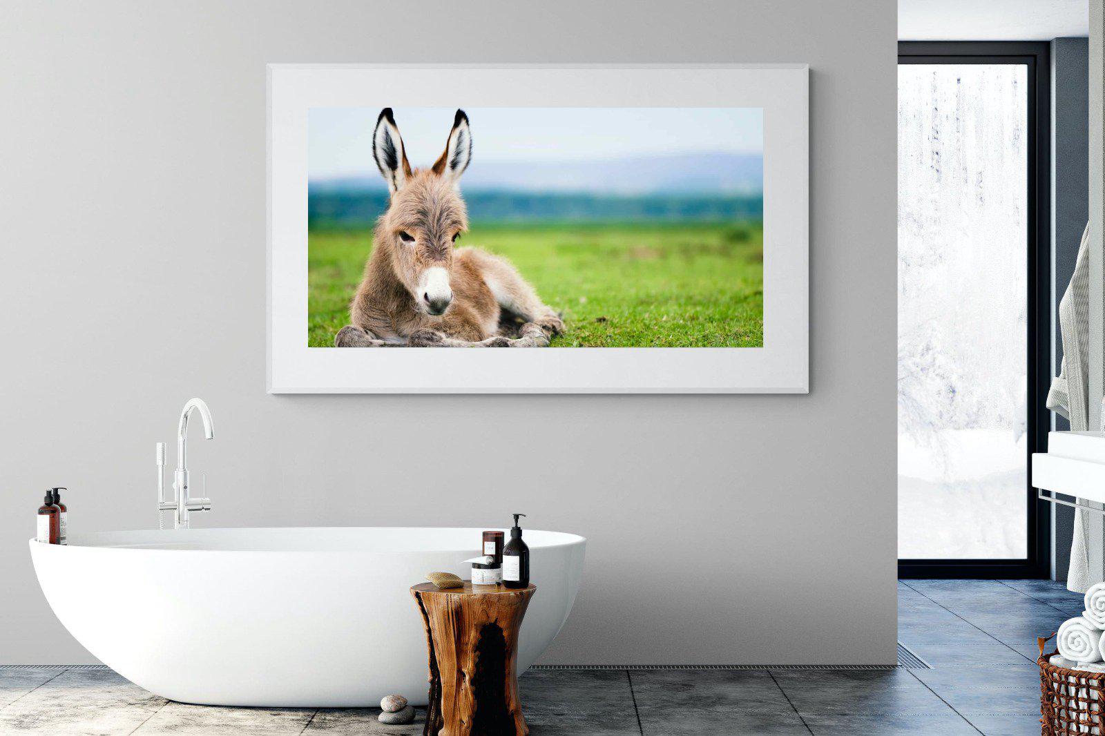 Donkey Foal-Wall_Art-180 x 110cm-Framed Print-White-Pixalot