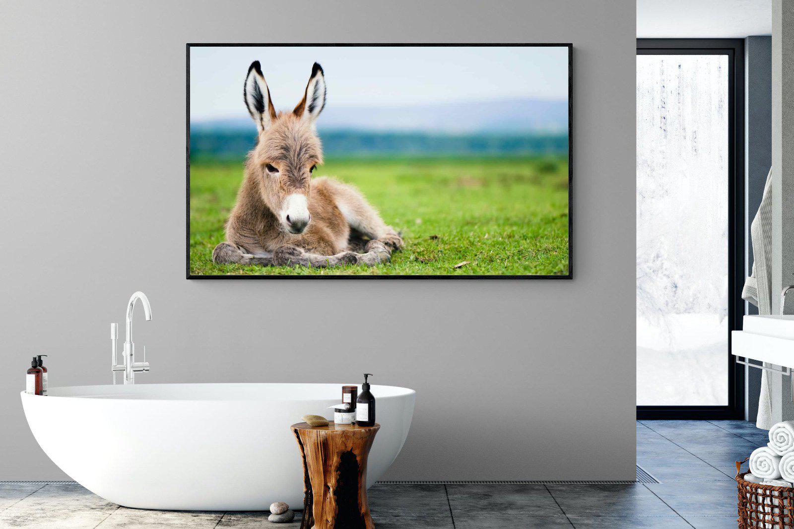 Donkey Foal-Wall_Art-180 x 110cm-Mounted Canvas-Black-Pixalot