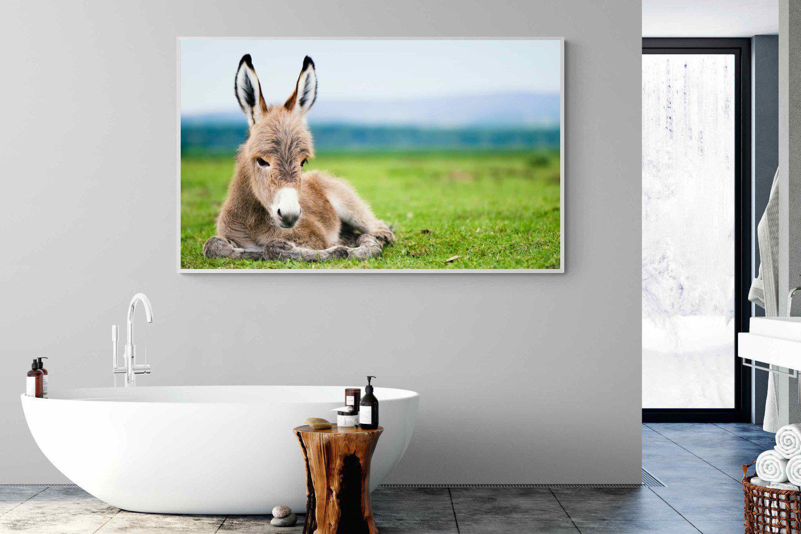 Donkey Foal-Wall_Art-180 x 110cm-Mounted Canvas-White-Pixalot