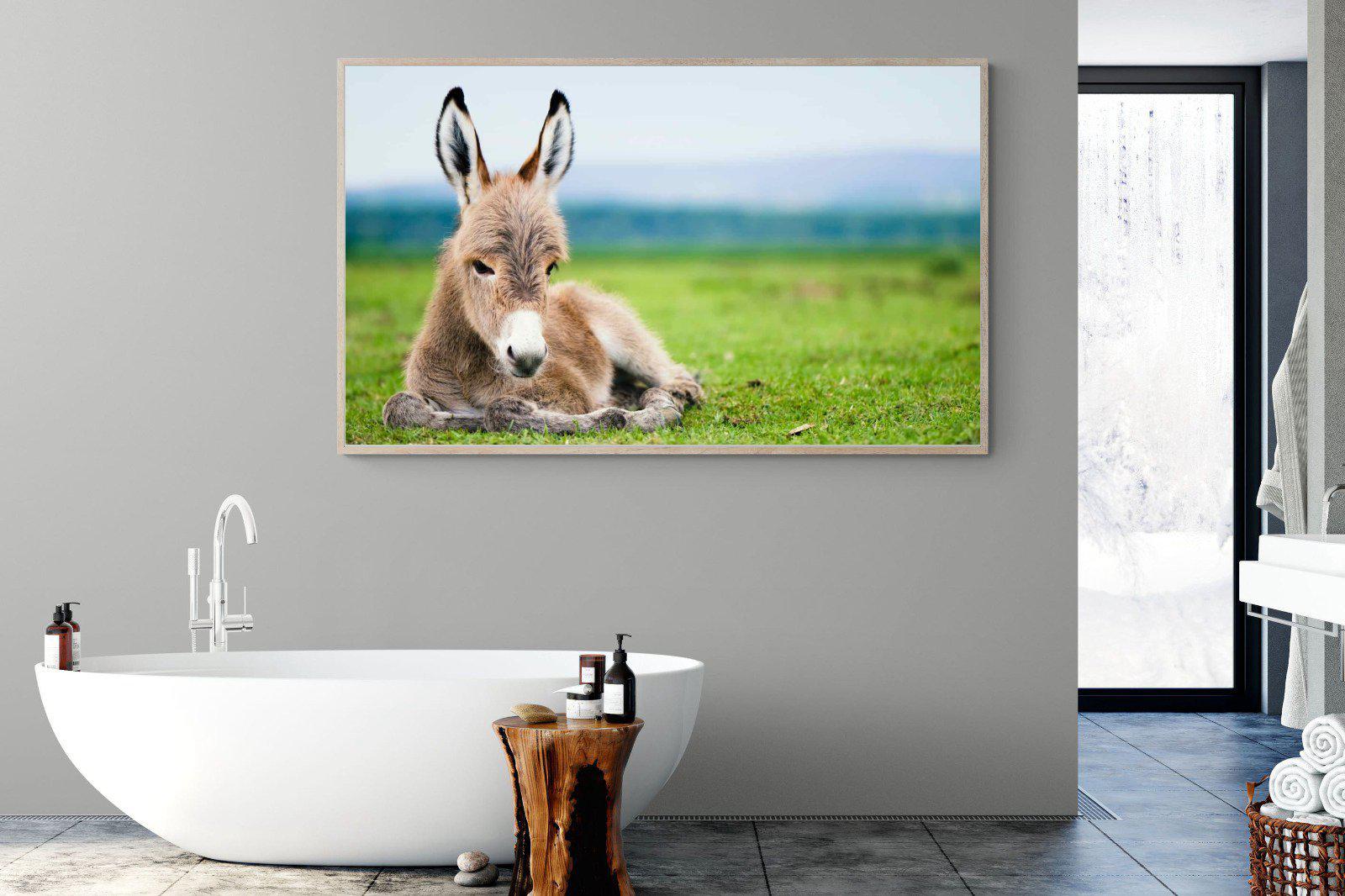 Donkey Foal-Wall_Art-180 x 110cm-Mounted Canvas-Wood-Pixalot