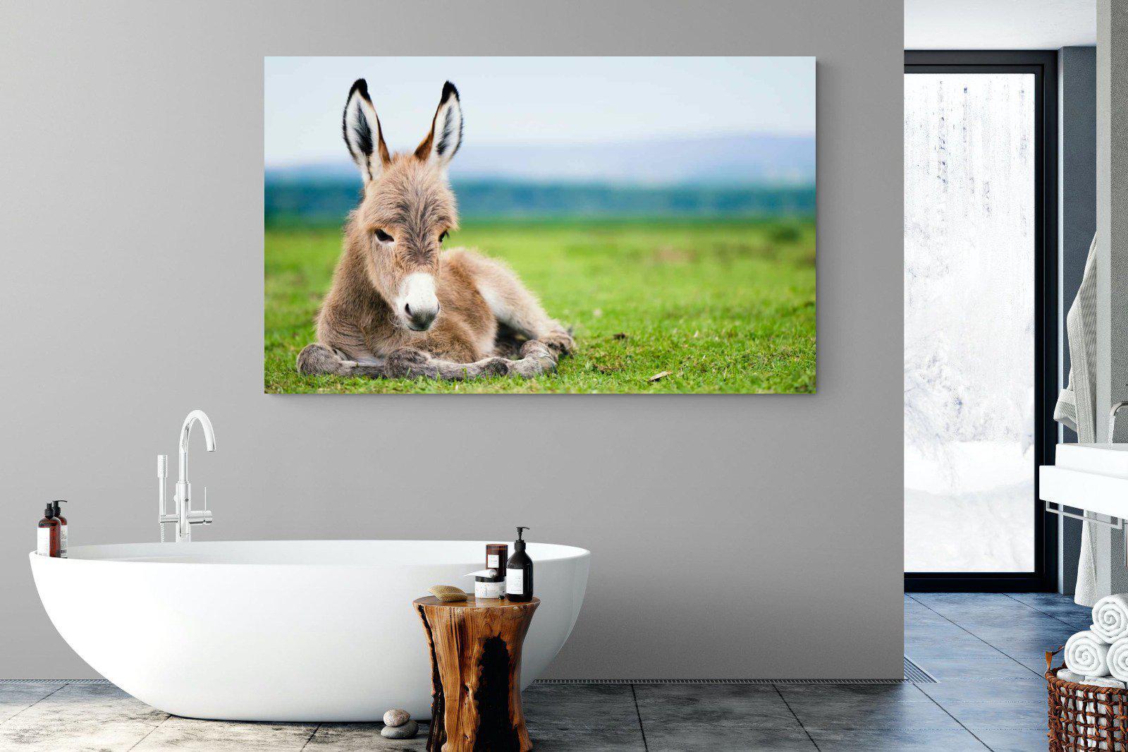 Donkey Foal-Wall_Art-180 x 110cm-Mounted Canvas-No Frame-Pixalot