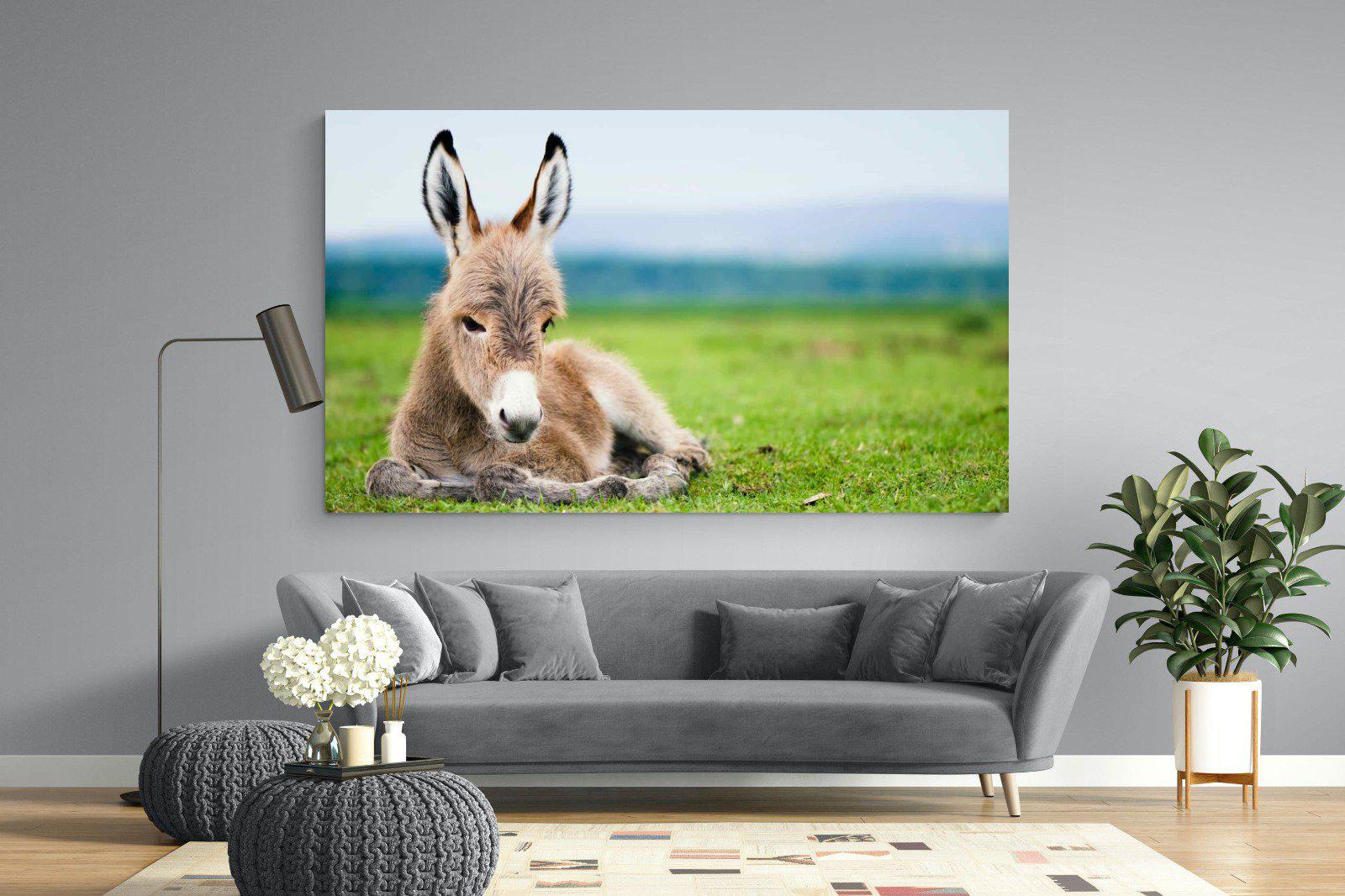 Donkey Foal-Wall_Art-220 x 130cm-Mounted Canvas-No Frame-Pixalot