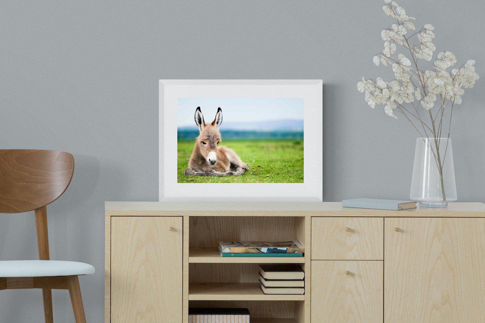 Donkey Foal-Wall_Art-60 x 45cm-Framed Print-White-Pixalot