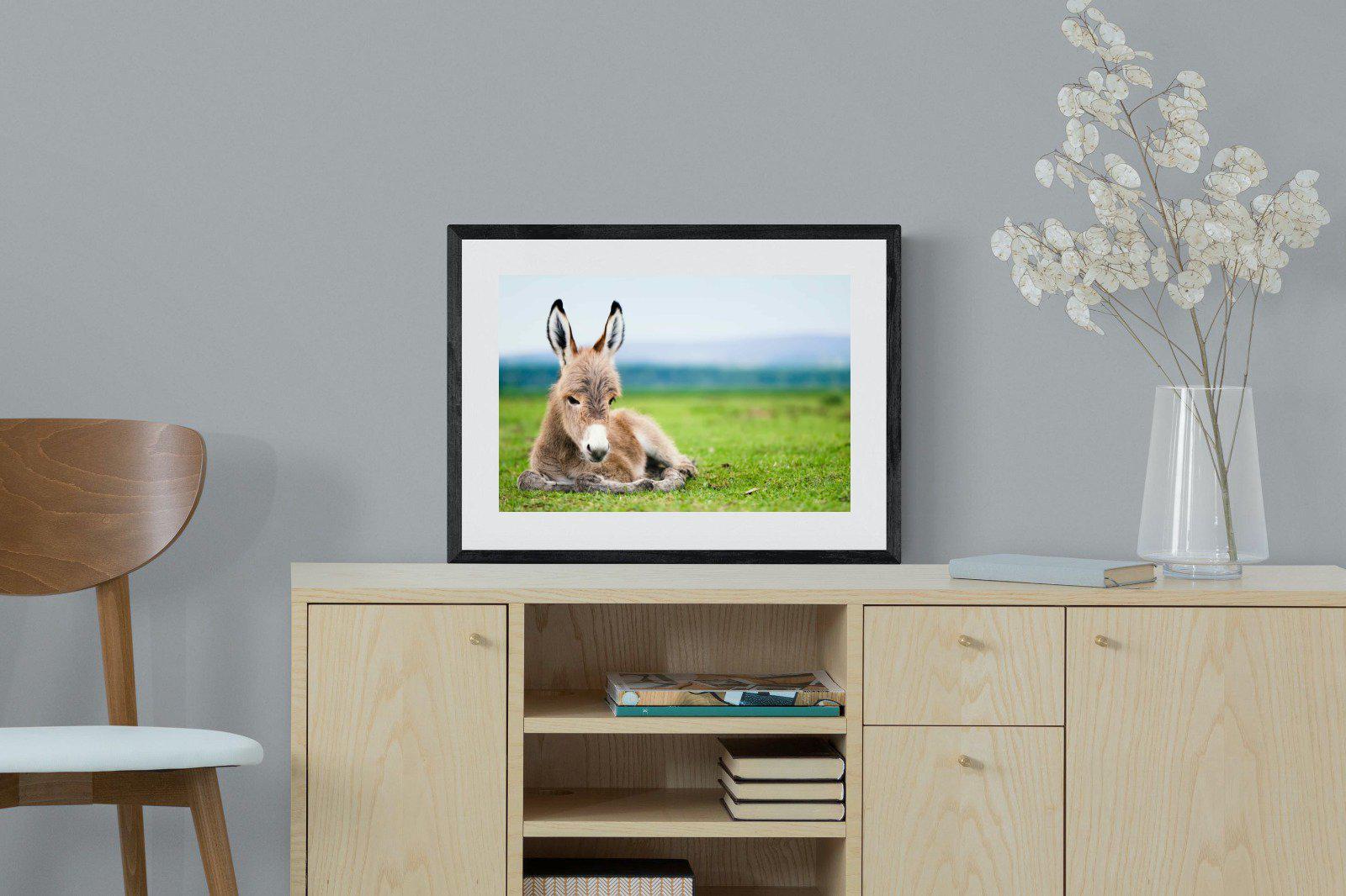 Donkey Foal-Wall_Art-60 x 45cm-Framed Print-Black-Pixalot