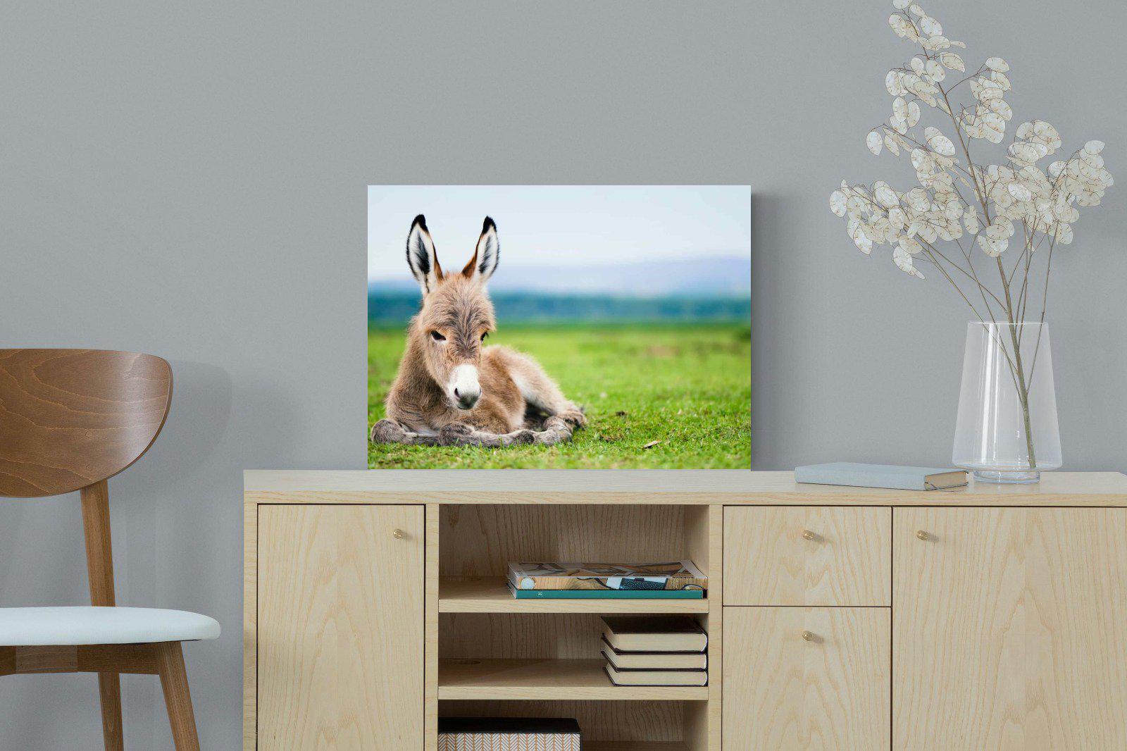 Donkey Foal-Wall_Art-60 x 45cm-Mounted Canvas-No Frame-Pixalot