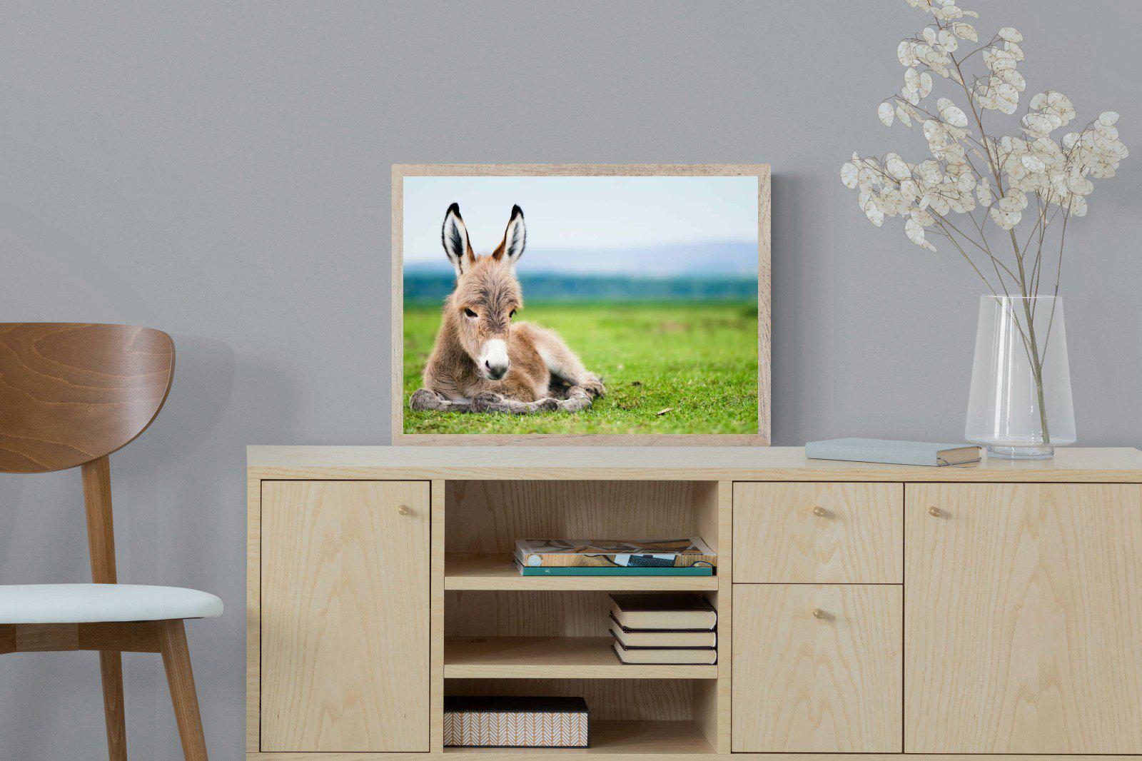 Donkey Foal-Wall_Art-60 x 45cm-Mounted Canvas-Wood-Pixalot