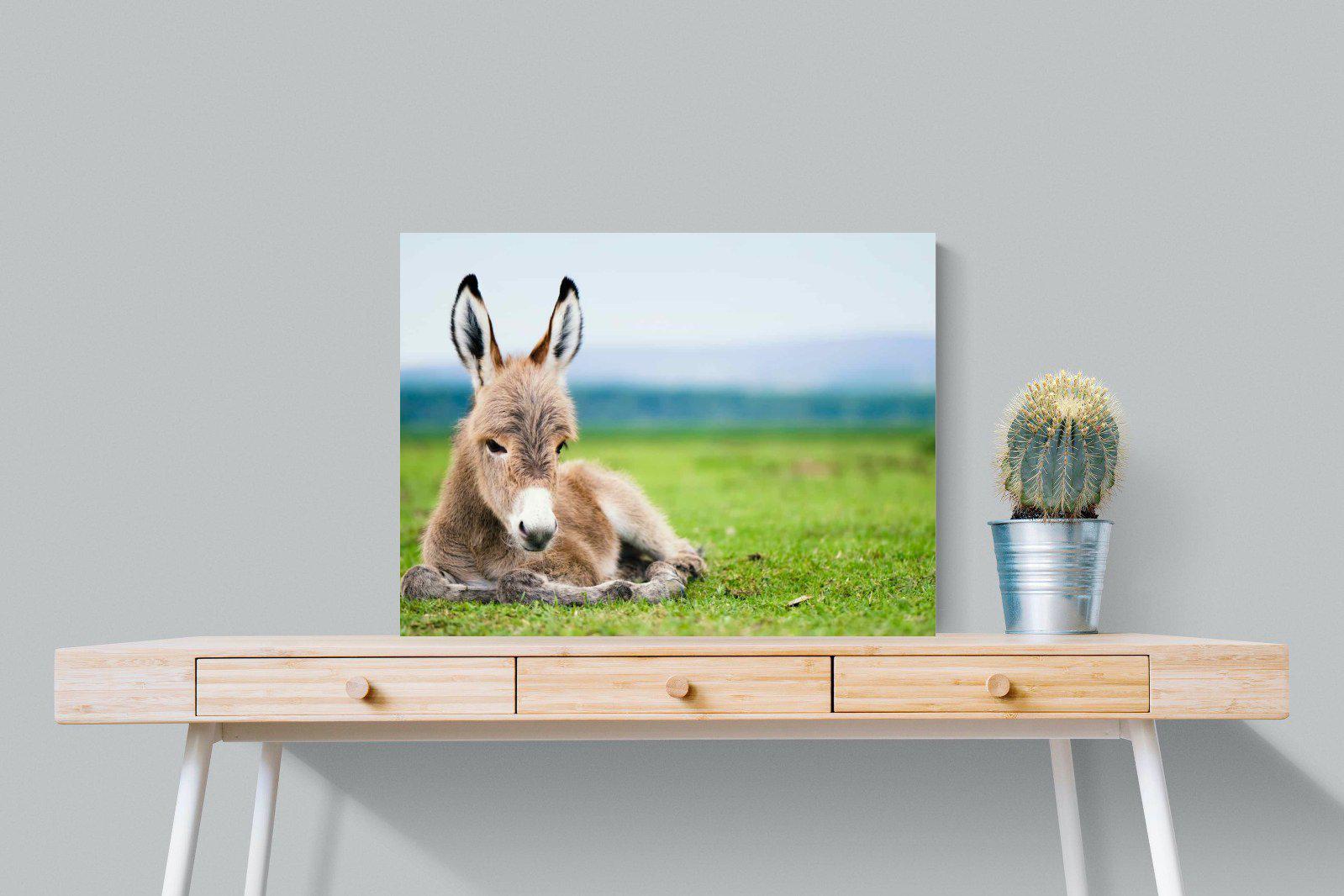 Donkey Foal-Wall_Art-80 x 60cm-Mounted Canvas-No Frame-Pixalot