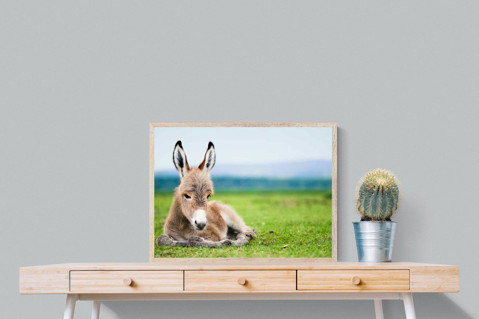 Donkey Foal-Wall_Art-80 x 60cm-Mounted Canvas-Wood-Pixalot