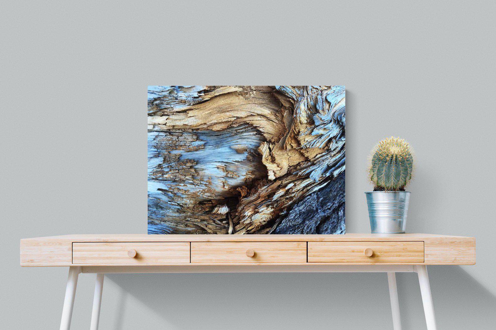 Driftwood-Wall_Art-80 x 60cm-Mounted Canvas-No Frame-Pixalot