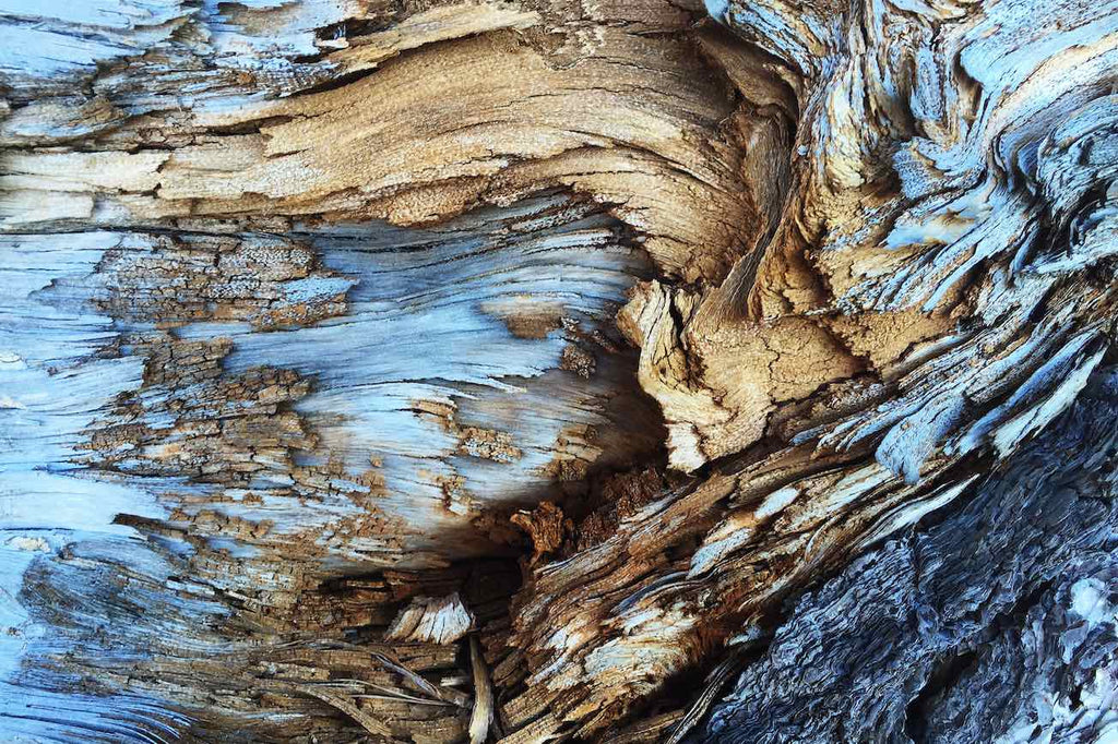 Driftwood-Wall_Art-Pixalot