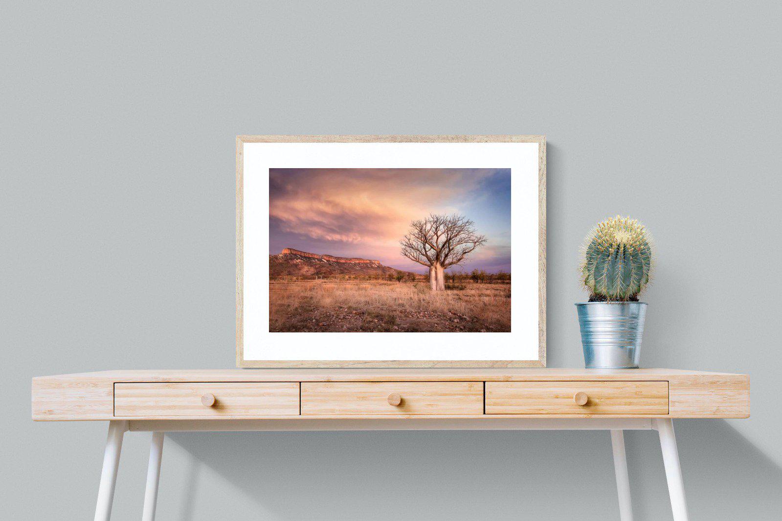 Dusky Baobab-Wall_Art-80 x 60cm-Framed Print-Wood-Pixalot