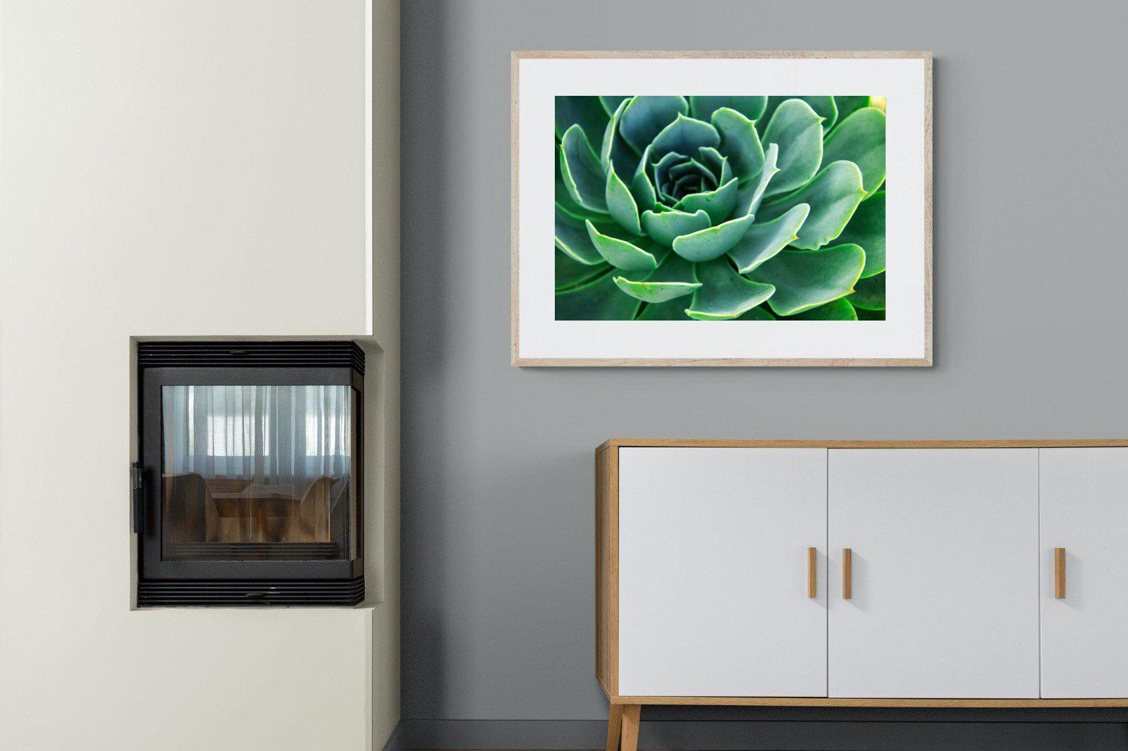 Echeveria Elegans-Wall_Art-100 x 75cm-Framed Print-Wood-Pixalot