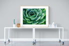 Echeveria Elegans-Wall_Art-120 x 90cm-Framed Print-Wood-Pixalot