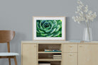 Echeveria Elegans-Wall_Art-60 x 45cm-Framed Print-Wood-Pixalot